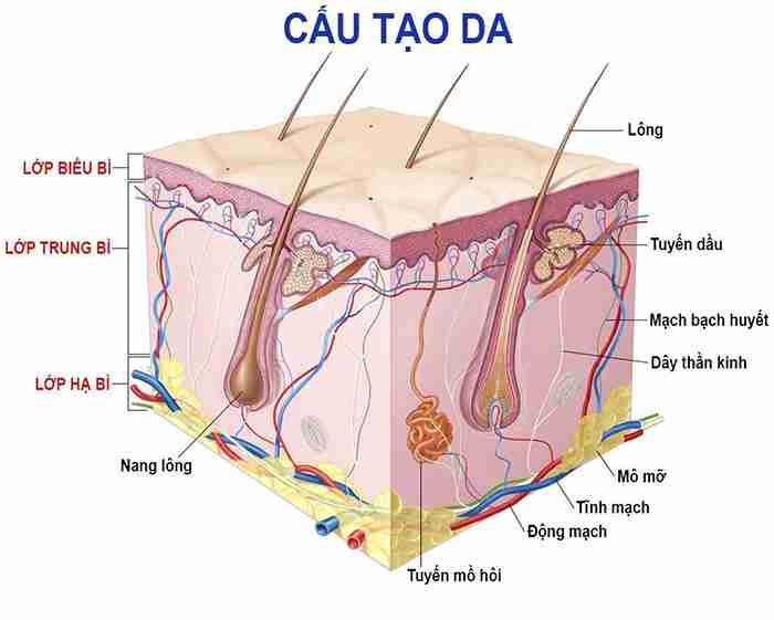 Da mũi mỏng có nâng mũi được không