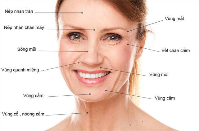 Tổng hợp các câu hỏi về tiêm trẻ hoá tạo hình khuôn mặt 